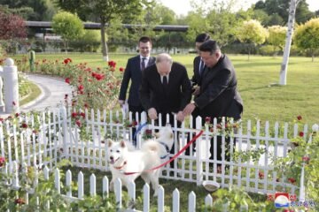 Leones africanos, limusinas y caballos por soldados norcoreanos: los intercambios entre Putin y Kim Jong-un