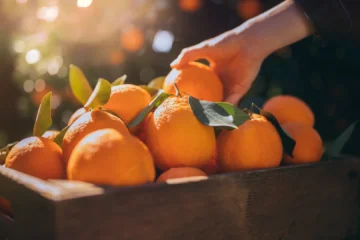 El efecto en los riñones de comer naranjas cada día que probablemente desconoces