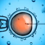 Congelación de óvulos para retrasar la maternidad: ¿es esta la solución?