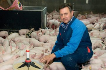 China golpea al porcino español como réplica a la guerra arancelaria con la UE: «Siempre pagamos nosotros los platos rotos»