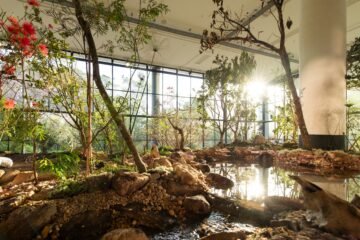 Arte para salvar el mundo: la Bienal de São Paulo apuesta por un nuevo humanismo frente a la deriva global
