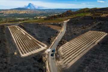 Incendios en España: el fuego es el sistema