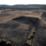 La hora de la gestión forestal tras la oleada de incendios: “Llevamos 60 años de abandono rural”