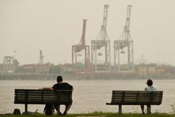 Una investigación revela cómo la contaminación puede desencadenar cambios dañinos en el cerebro que llevan a la neurodegeneración