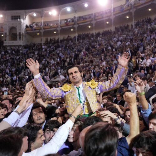 El toro huidizo de la política