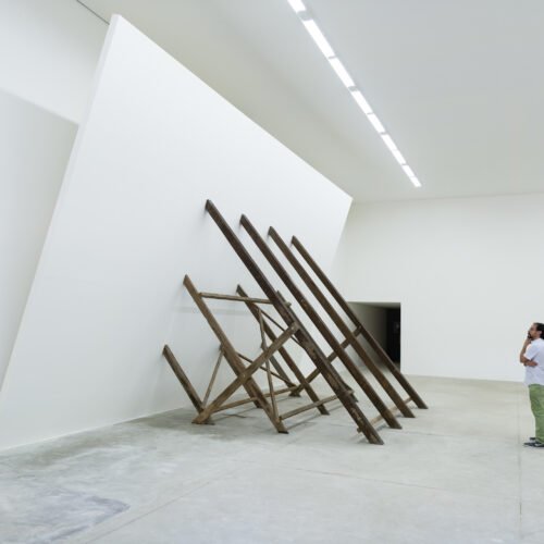 Dos décadas de Inhotim