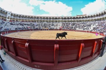 La ONU pide explicaciones a España por permitir la participación de los menores en espectáculos taurinos