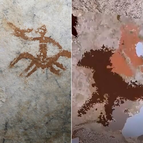 Hallada en Indonesia la pintura rupestre más antigua de la humanidad