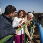 El ‘no a la guerra’ reactiva al PSOE andaluz, que desea elecciones conjuntas con las generales