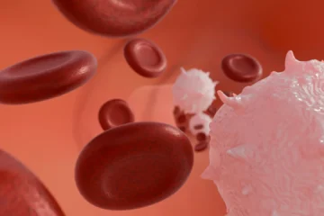 Identifican «un interruptor natural» del cáncer de sangre más frecuente que puede parar el crecimiento tumoral