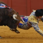 Morante de la Puebla, en estado muy grave tras resultar herido por un toro en la Maestranza de Sevilla