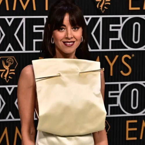 El excuñado de Aubrey Plaza acusa a la actriz de «infiel» por estar embarazada de su nueva pareja tras la muerte de Jeff Baena