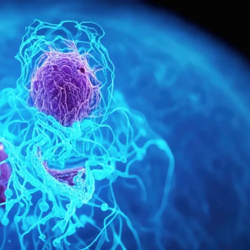 Eliminar las ‘capas de invisibilidad’ y la saltarse la quimioterapia de forma segura: nuevas armas en la lucha contra el cáncer