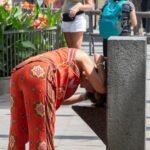 La ola de calor continúa con temperaturas de hasta 42ºC y avisos en 14 comunidades