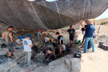 Tras la pista en La Rioja de una nueva especie de dinosaurio