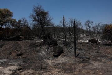 Los incendios que sí sabíamos cómo evitar