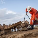La crisis que pisamos: la degradación de los suelos del planeta pasa una factura de 780.000 millones al año