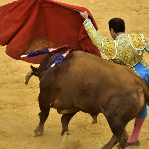 Muere el torero Cayetano de Julia de forma repentina mientras hacía deporte en un parque de Córdoba