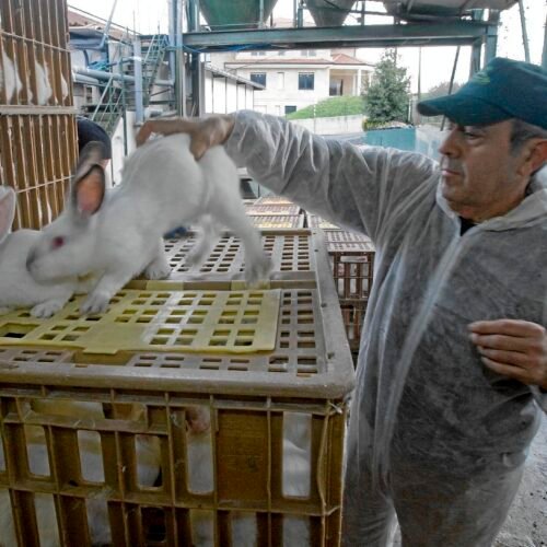La guerra de la carne amenaza con desatar una huelga general en noviembre ante la falta de acuerdo