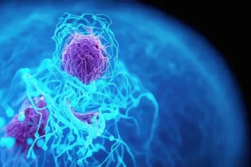Un nuevo fármaco contra el cáncer de páncreas también logra reducir tumores de pulmón en más del 30%