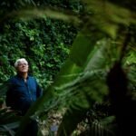 El botánico que ha tardado 30 años en poner nombre a 18 árboles: “Es una carrera contra mí mismo”