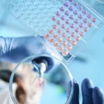 Un estudio revela cómo una bacteria intestinal es capaz de burlar una de las primeras defensas del organismo
